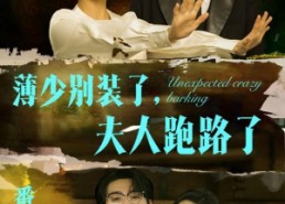 【薄少别装了夫人跑路了】60集短剧免费在线赏看