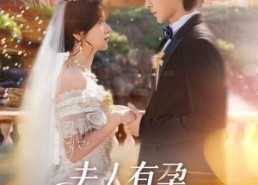 【夫人有孕，高冷先生霸道宠】60集在线免费短剧全集赏