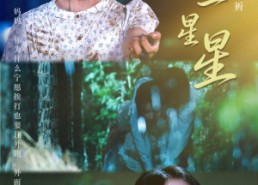 【一念一星星】76集短剧免费全集赏观