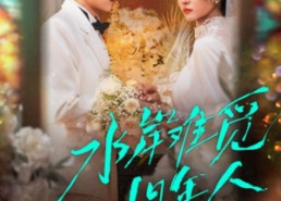 【水岸难觅旧年人】68集短剧免费全集在线览