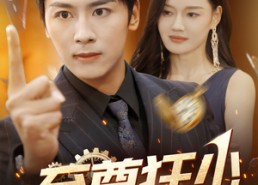 【至尊狂少】103集短剧在线免费赏观