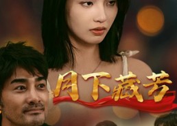 【月下藏芳】62集短剧在线免费全集览
