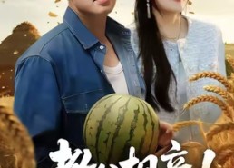 【教父相亲娇妻要他垦荒种地】58集免费在线短剧全集欣赏