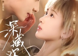 【深藏欢喜】81集短剧在线免费畅快观看