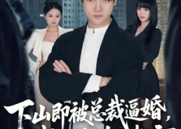 【下山即被总裁逼婚，我反手横扫都市】80集短剧免费在线观映