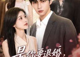 【是你要退婚，真退了你哭什么】69集短剧全集畅享观看