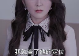 【我的危险妻子】30集在线短剧免费全集畅享