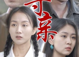 【寻亲】35集短剧免费全集一键观看