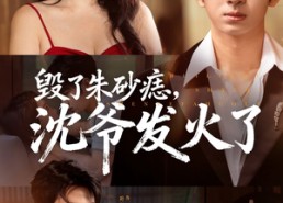 【毁了朱砂痣，沈爷发火了】60集短剧免费全集在线直看