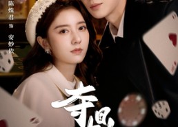 【夺鼎】34集短剧在线免费看全集