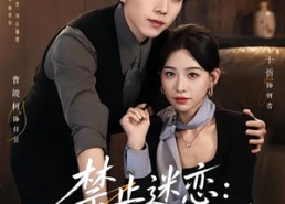 【禁止迷恋：何秘书她心硬如铁】55集短剧免费高清在线看