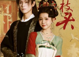 【绿上枝头】73集免费短剧在线快看