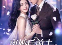 【离婚后前夫总想复合】72集短剧免费在线赏看