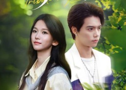 【野心家】65集短剧全集免费畅看