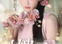 【嫂子】38集短剧资源免费高清观看