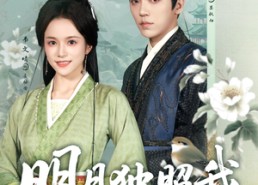 【明月独照我】80集短剧免费全集速看