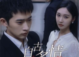 【自古多情空余恨】63集免费短剧全集速看