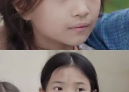 【年年岁岁又今朝】44集短剧免费在线全剧观