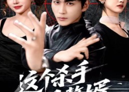 【这个杀手是赘婿】81集短剧全网免费观看