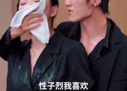 【他似青川】68集短剧完整版免费在线看