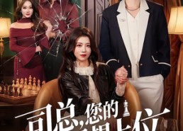 【司总，您的棋子想上位】79集短剧在线免费观赏