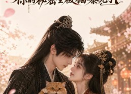 【摄政王别装了，你的秘密全被猫曝光了】64集短剧免费全集追看