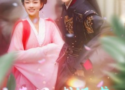 【春风戏纸鸢】74集免费短剧全集高清看