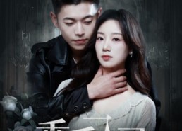 【乖乖入局】84集短剧免费全集尽情看