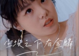 【尘埃之下有金鳞】60集免费短剧在线完整观看