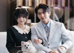 【落幕山茶花】50集高清短剧免费在线览