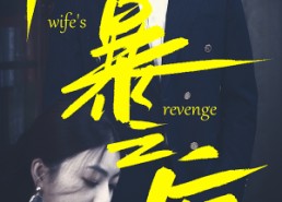 【风暴之后】80集免费短剧在线全集速看