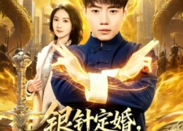 【银针定婚，医武双绝闯青山】74集短剧全集免费观影