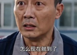 【被主管亏欠后，我准时下班】29集短剧免费高清观看