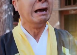 【她从仙界归来护全家】86集超火短剧在线免费赏阅