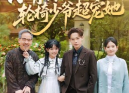 【小青梅又奶又凶，轮椅少爷超宠她】90集短剧免费全集在线看高清版