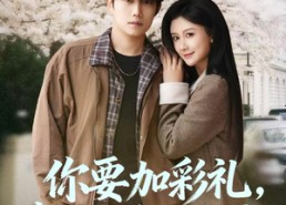 【你要加彩礼，我转身娶白月光】82集高清短剧在线免费看全集