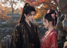 【退婚侯府我成了皇子妃】153集短剧免费全集速览