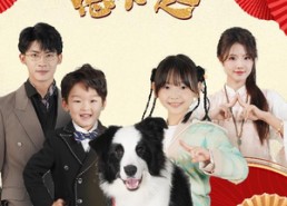 【驯兽萌宝惹不起】60集免费在线短剧全集享