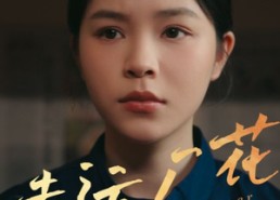 【幸孕厂花】30集短剧畅享免费看