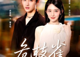 【危枝雀】64集短剧免费全集线上观看