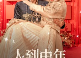 【人到中年，大力出奇迹】65集在线短剧免费畅览