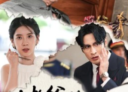 【姥爷的锦囊】63集免费短剧全集线上看