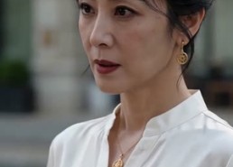 【晚风渡中年，暖意赴余生】72集短剧免费高清在线看