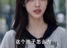 【陆先生的心头爱】80集高清短剧在线随心观看