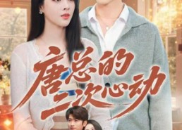 【唐总的二次心动】80集免费短剧全集随心看