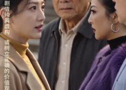 【少年夫妻老来伴】39集短剧全集在线赏播