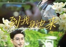 【到我身边来】100集完整短剧免费在线观瞧