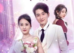 【五年深情终成空】49集在线看短剧全集无删减