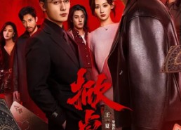 【掀桌】111集精彩短剧免费在线观看不停