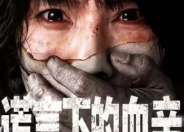 【谎言下的血亲】53集免费看短剧全集